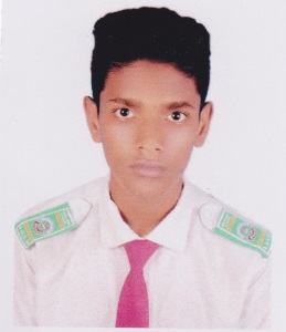 User Image