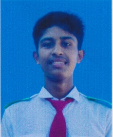 User Image