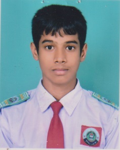 User Image